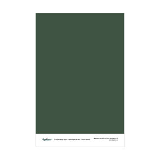 Český scrapbookový papír (6x8) - Naše báječné léto - Tmavě zelená
